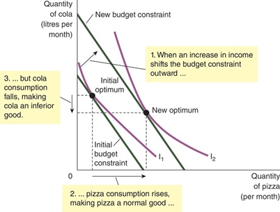 How Changes in Income Affect the Consumer’s Choices- 2