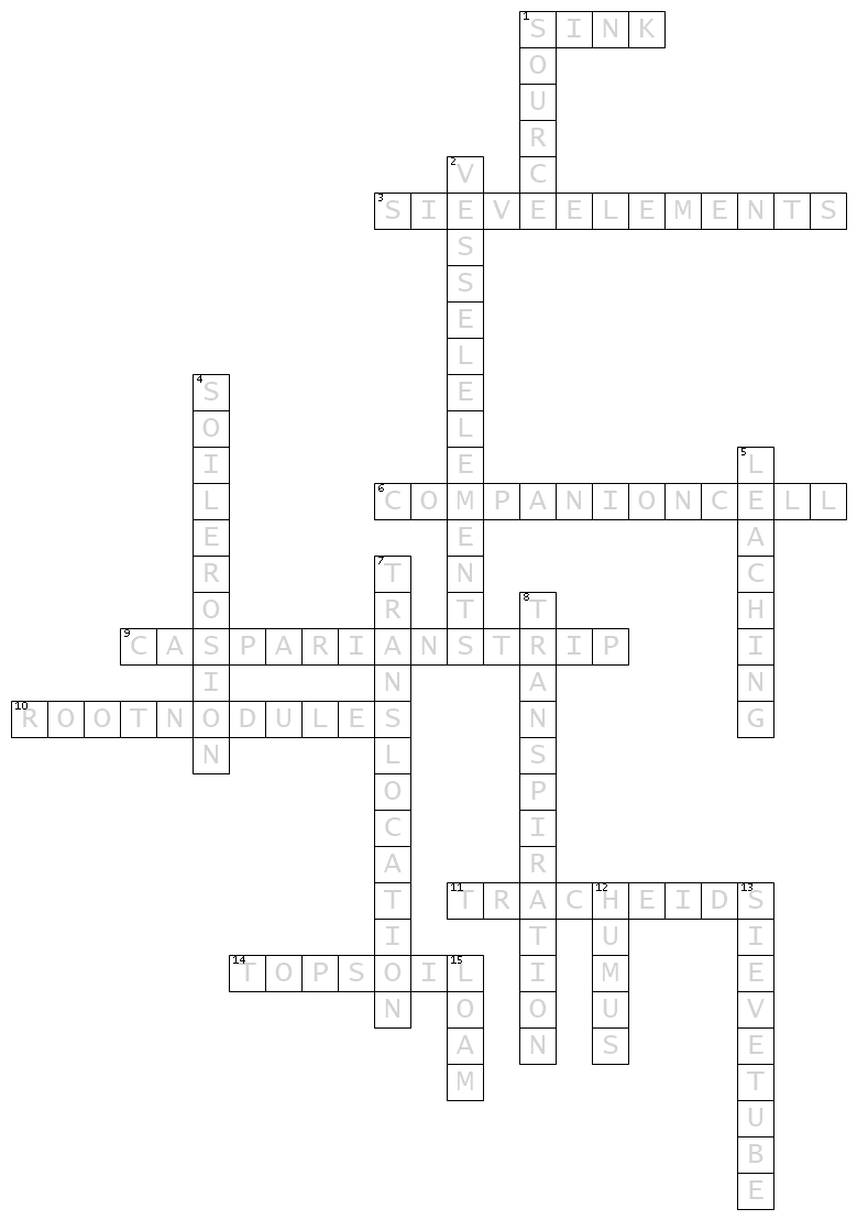 plant-nutrition-crossword-puzzle-to-enhance-life-science-learning