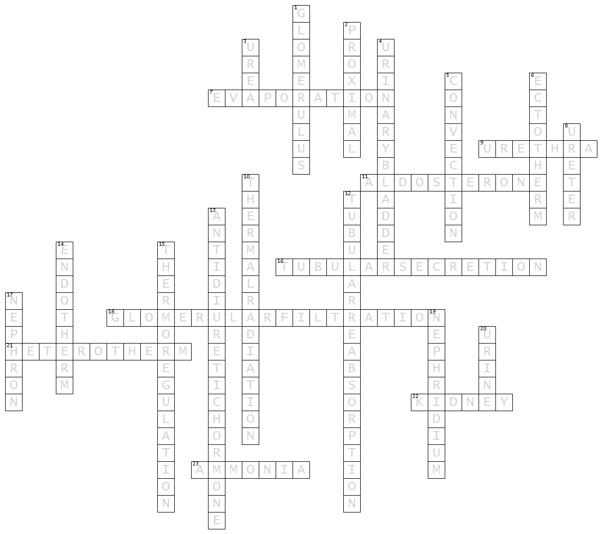Maintaining Internal Environment Crossword Puzzle for Life Science